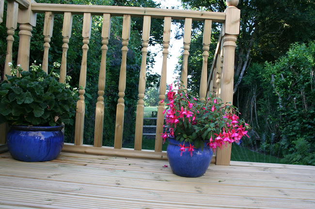 Cottage Garden